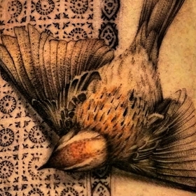 deepclose