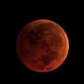 Redmad