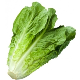 MarulBey