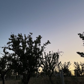 Vatandaşbiris