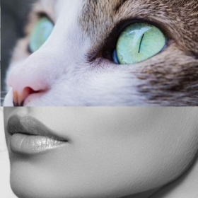 kissingkate