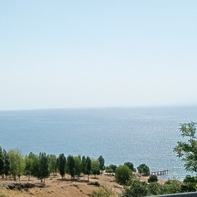 bahtsızımsıbedevi