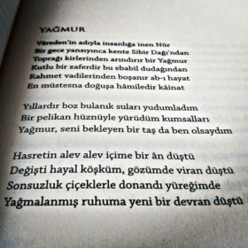 eoguz07