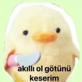 lollitaaaa