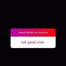 bodi1