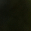 Skylierr