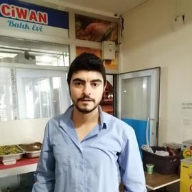 şairyalnız