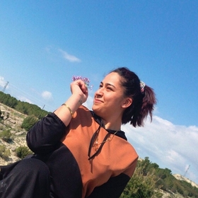 kelebek009