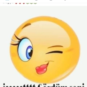 Fsfsfsfsfsf