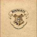 weasley934