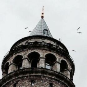 Faydalımikropp