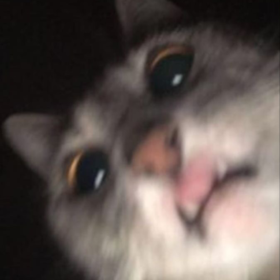505l_