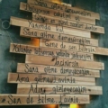 bilmeseniz_iyi