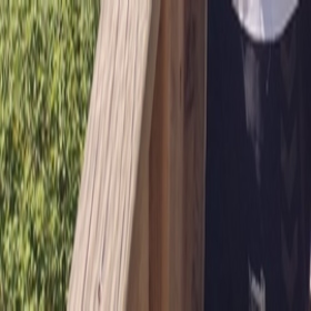 Martinedenn1