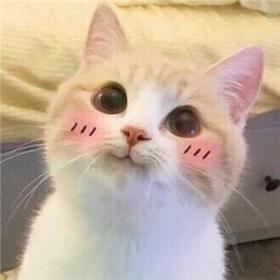 Zbabivjjj