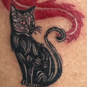 DragoNinCat