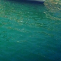 hayalet48300