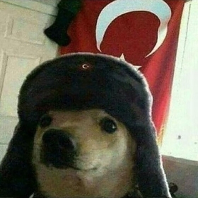 tahanlipide