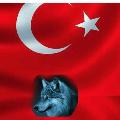 yelizkoca