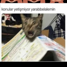 Ayşenuryıldırımmm