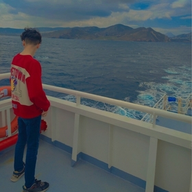 _alitimur