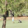 golferguy
