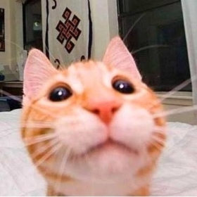 gelmemeyegidenkedi