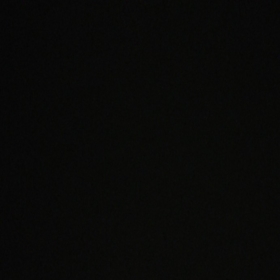 asliblksr