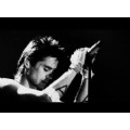 leto_4ever