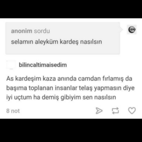 rtakca1903