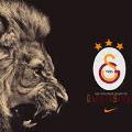 aslan1903