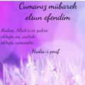 hayatroman