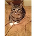 Latifah
