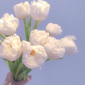 Merve_023