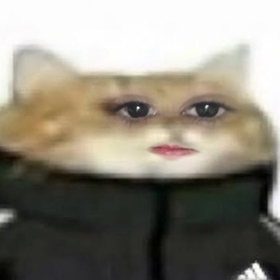 Wasdeccc