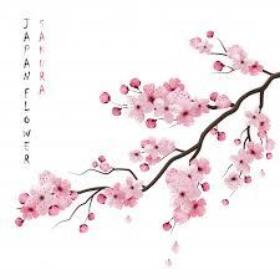 sakura114