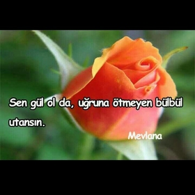 leYla_E