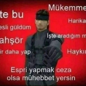 Doğan_27