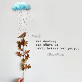 Minel-Ask