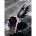 angel__