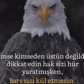 hakanyorgun