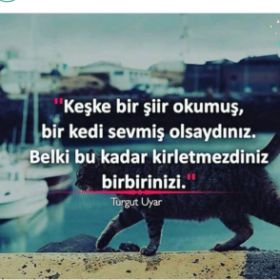 akrepimsikiz