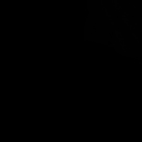 Necotaş