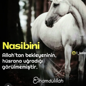 uykusuz1234