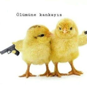Yargıç_Emir