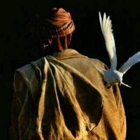 Trİmam