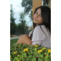 nur340