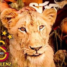 ASLAnnn25671