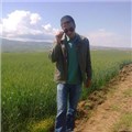 Rotasız71