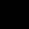 theblackunicorn